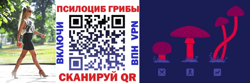 Купить где  Куса  Галлюциногенные грибы мухоморы 