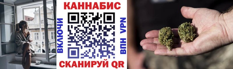 Купить  Куса  Каннабис сатива 
